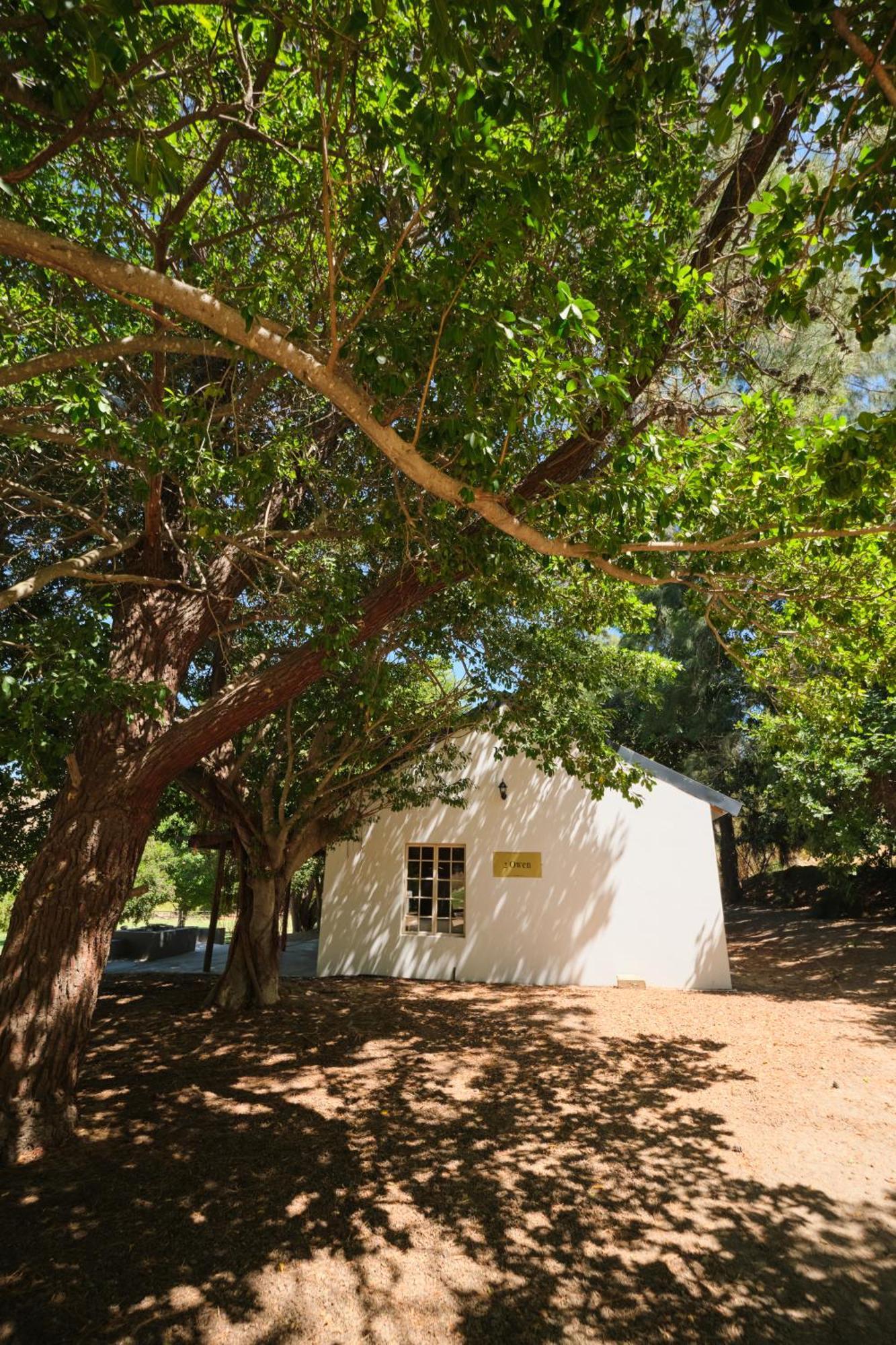 Boskloof Swemgat Vila Clanwilliam Exterior foto